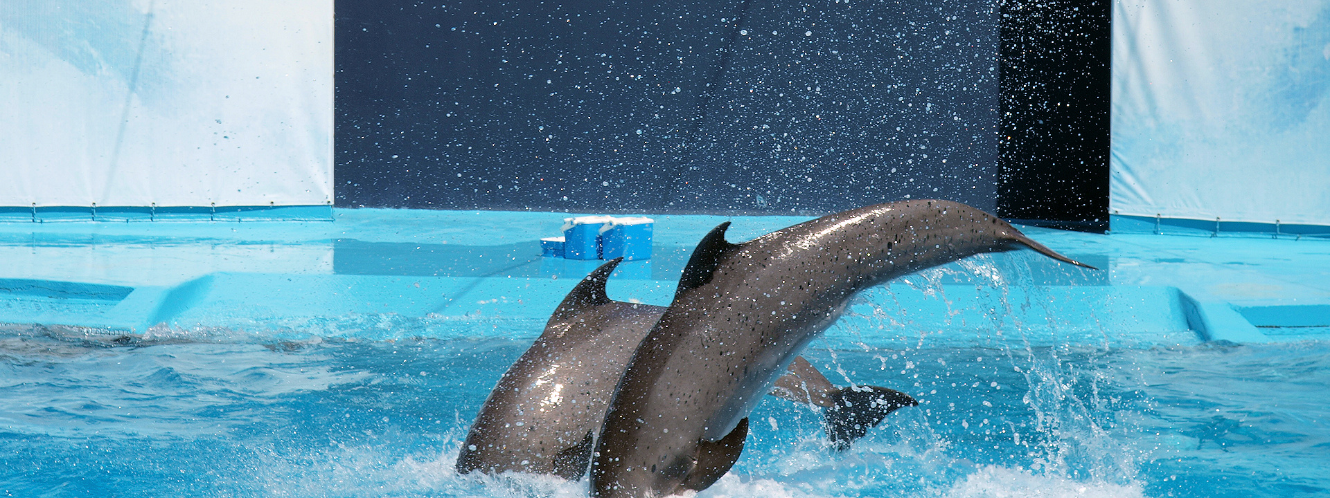 Create Without Limits